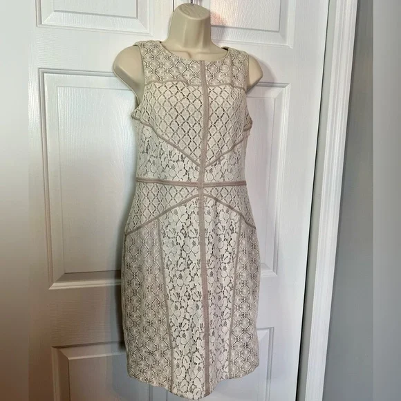 MAGGY LONDON Lace Overlay Dress MAGGY LONDON Lace Overlay Dress